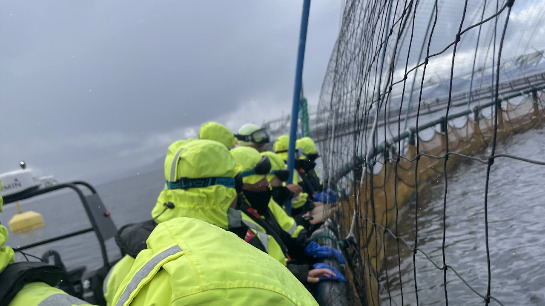 Professor's Visit to Norway