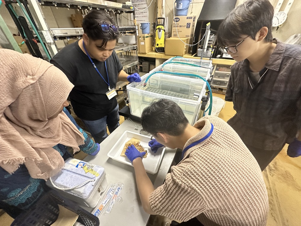 Visit to Hiroshima University