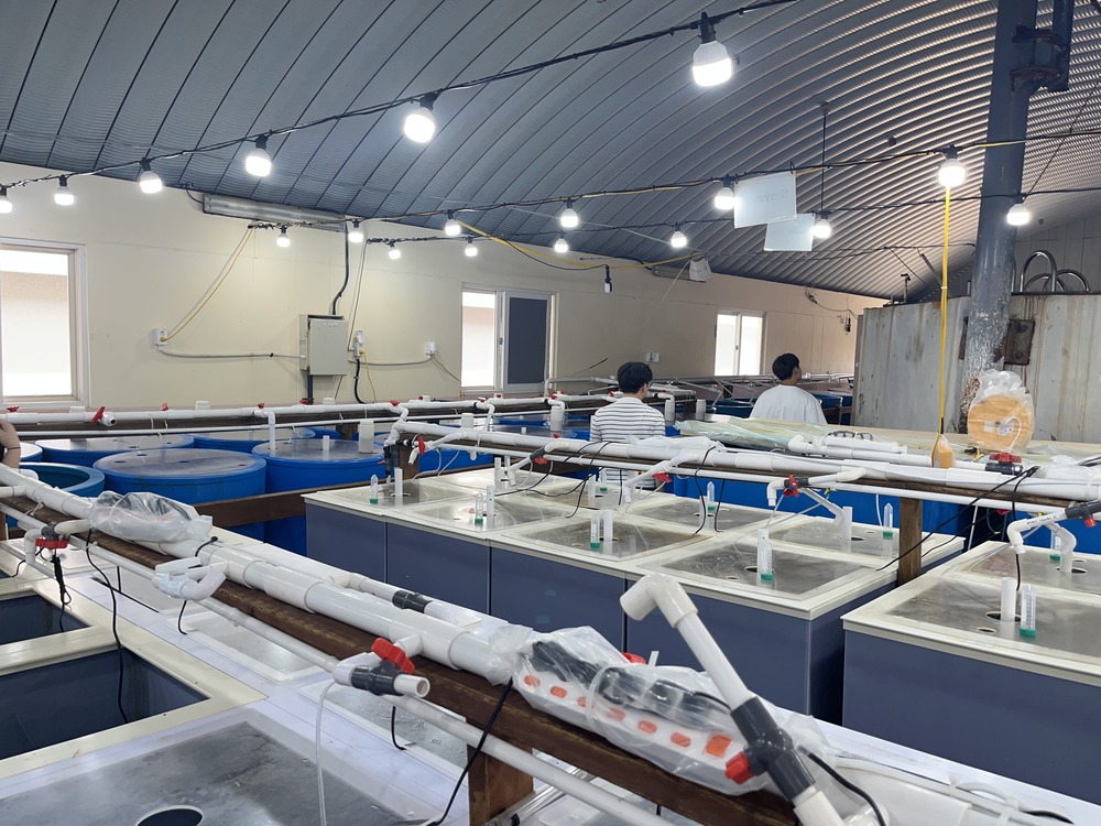 Jeju Marine Biology Academy